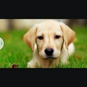 Meet your Posher, Melinda